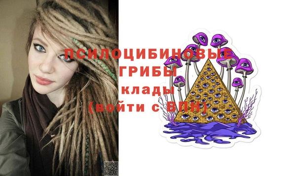 кокс Галич